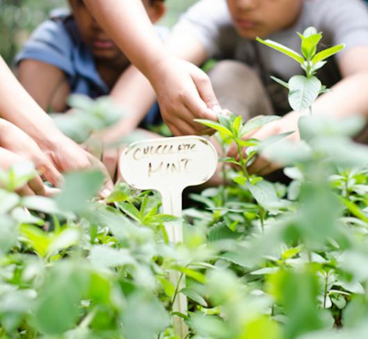 children working in a garden