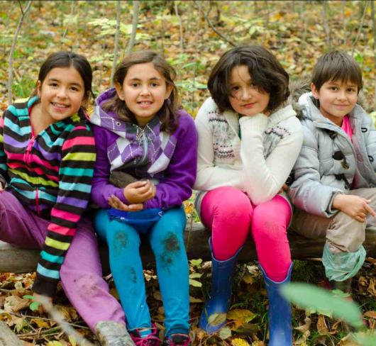 elementary students sitting on log in the woods