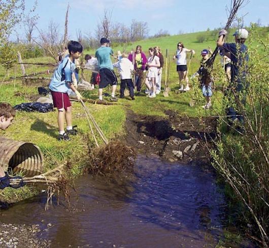 students working outside next to pond