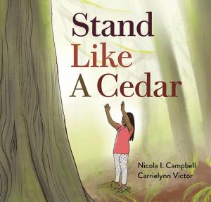Cover of Stand Like a Ceder
